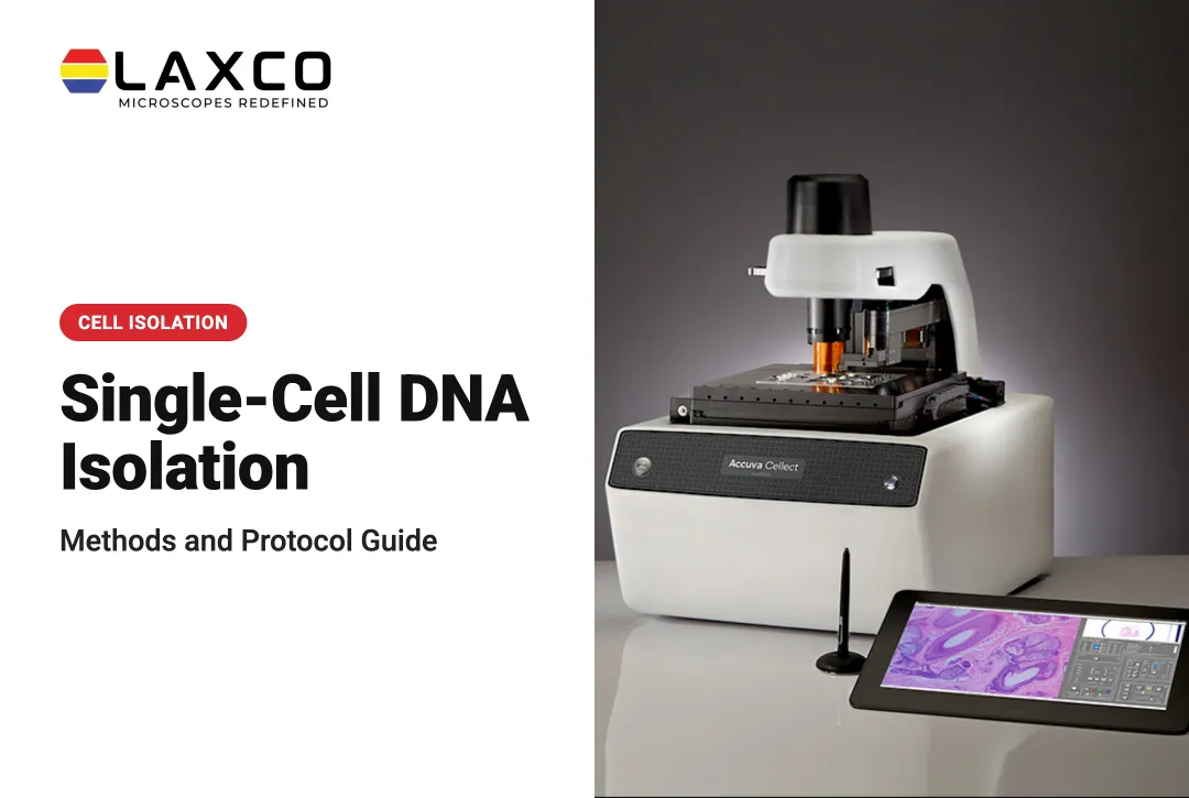 Single Cell DNA Isolation Methods and Protocol Guide