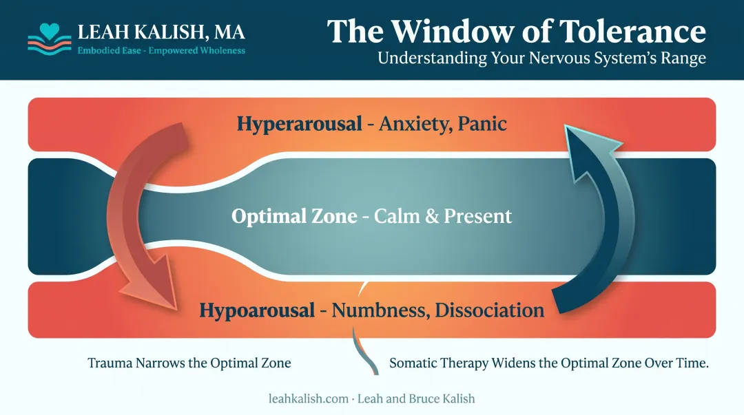 Window of tolerance diagram showing hyperarousal calm and shutdown zones
