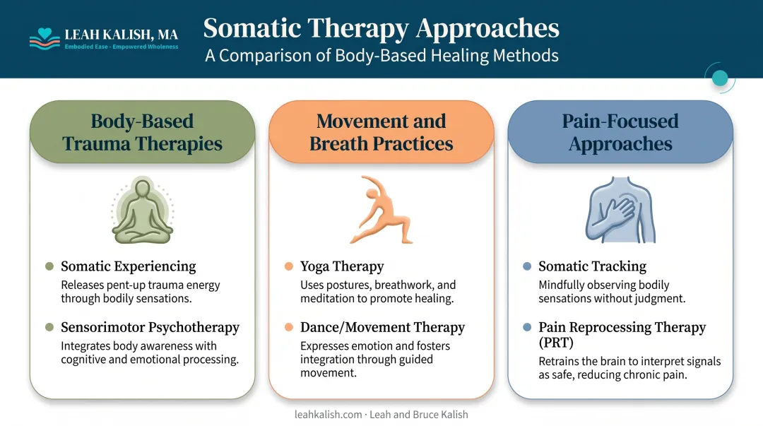 Three main types of somatic therapy compared side by side