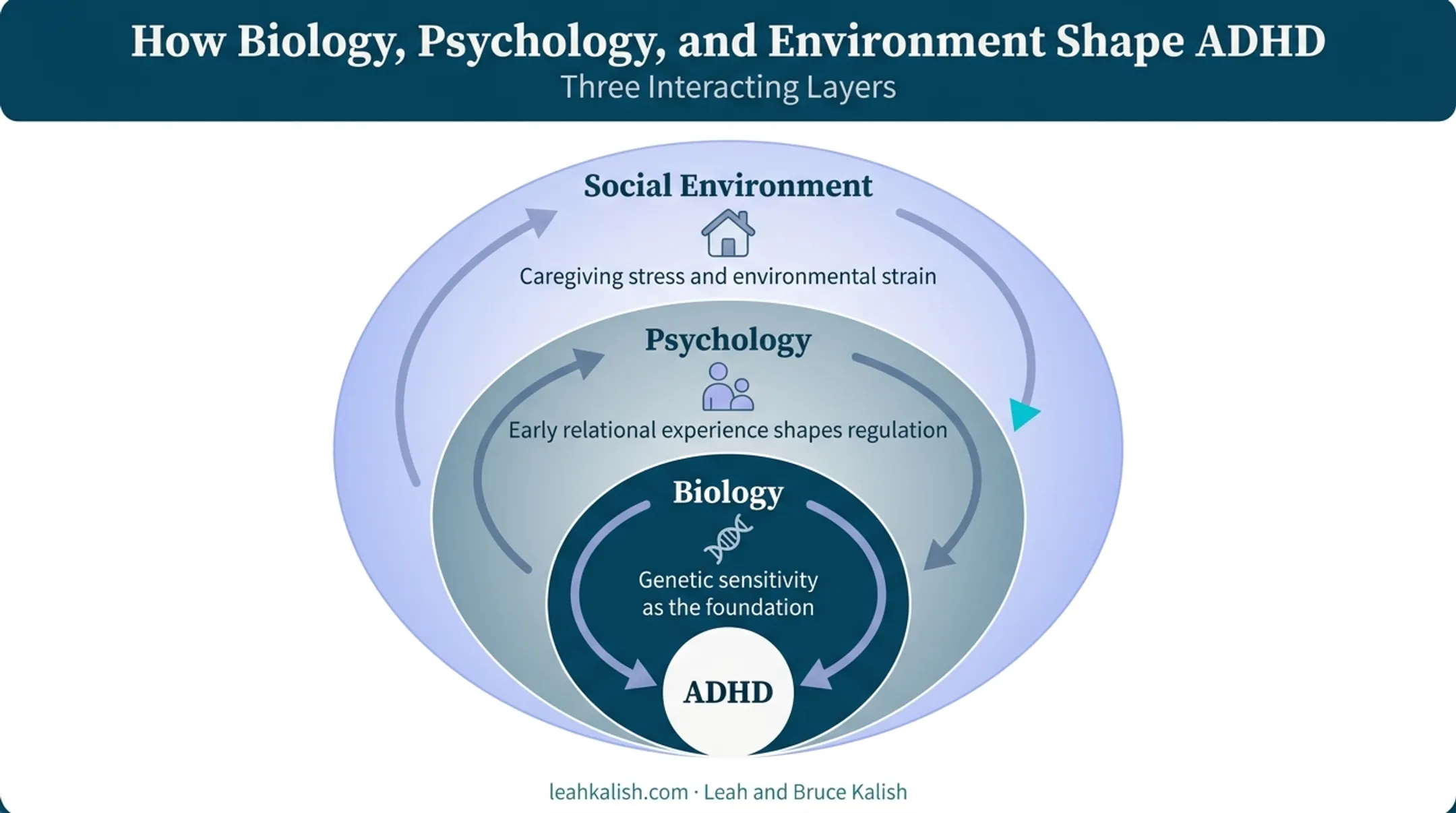 Three-layer biopsychosocial model of ADHD origins according to Gabor Maté