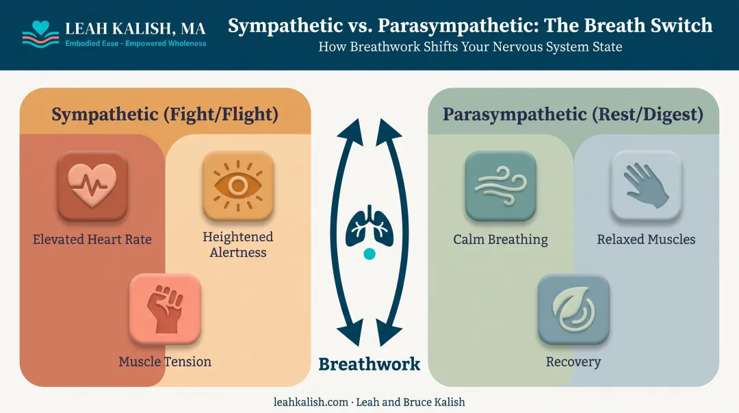 Sympathetic versus parasympathetic nervous system states comparison diagram