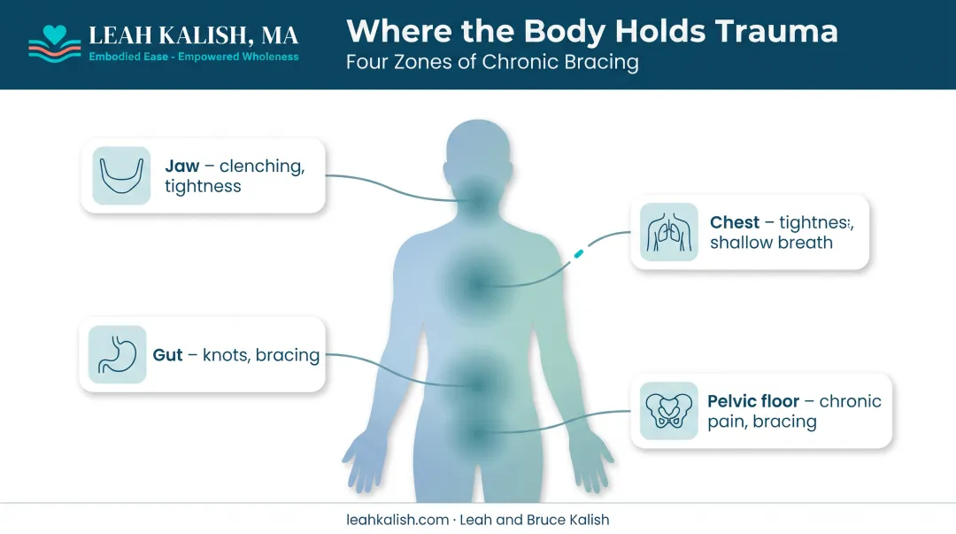 Body map showing common areas holding sexual trauma tension