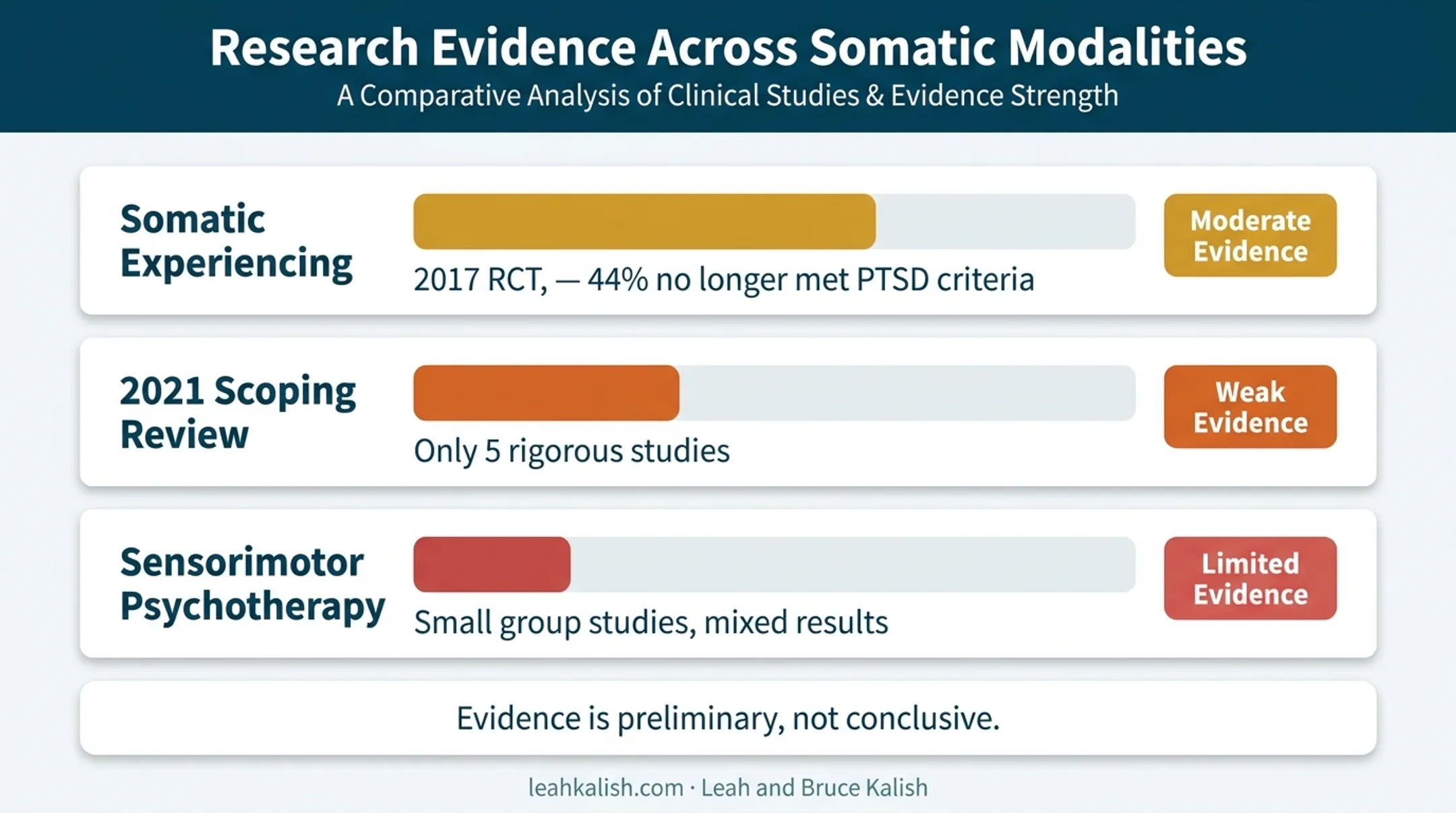 Research evidence strength comparison across somatic therapy methods and studies
