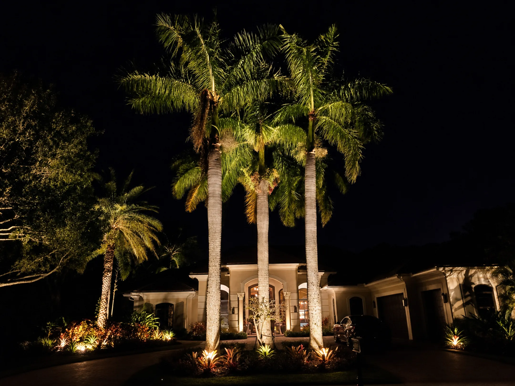 Uplighting illuminating palm trees and landscaping along a driveway at night