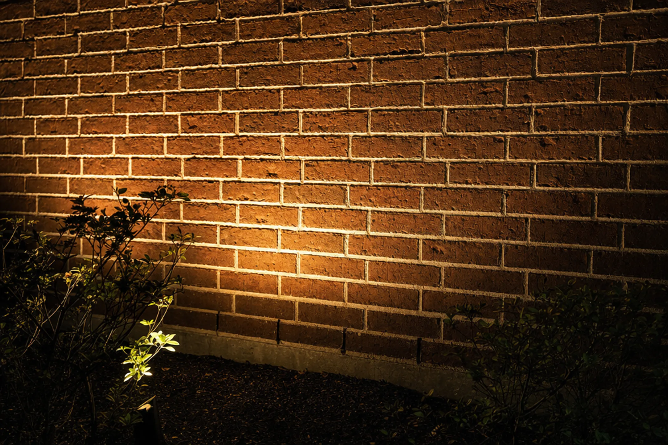 Textured red brick wall illuminated with dramatic upward-facing landscape lighting