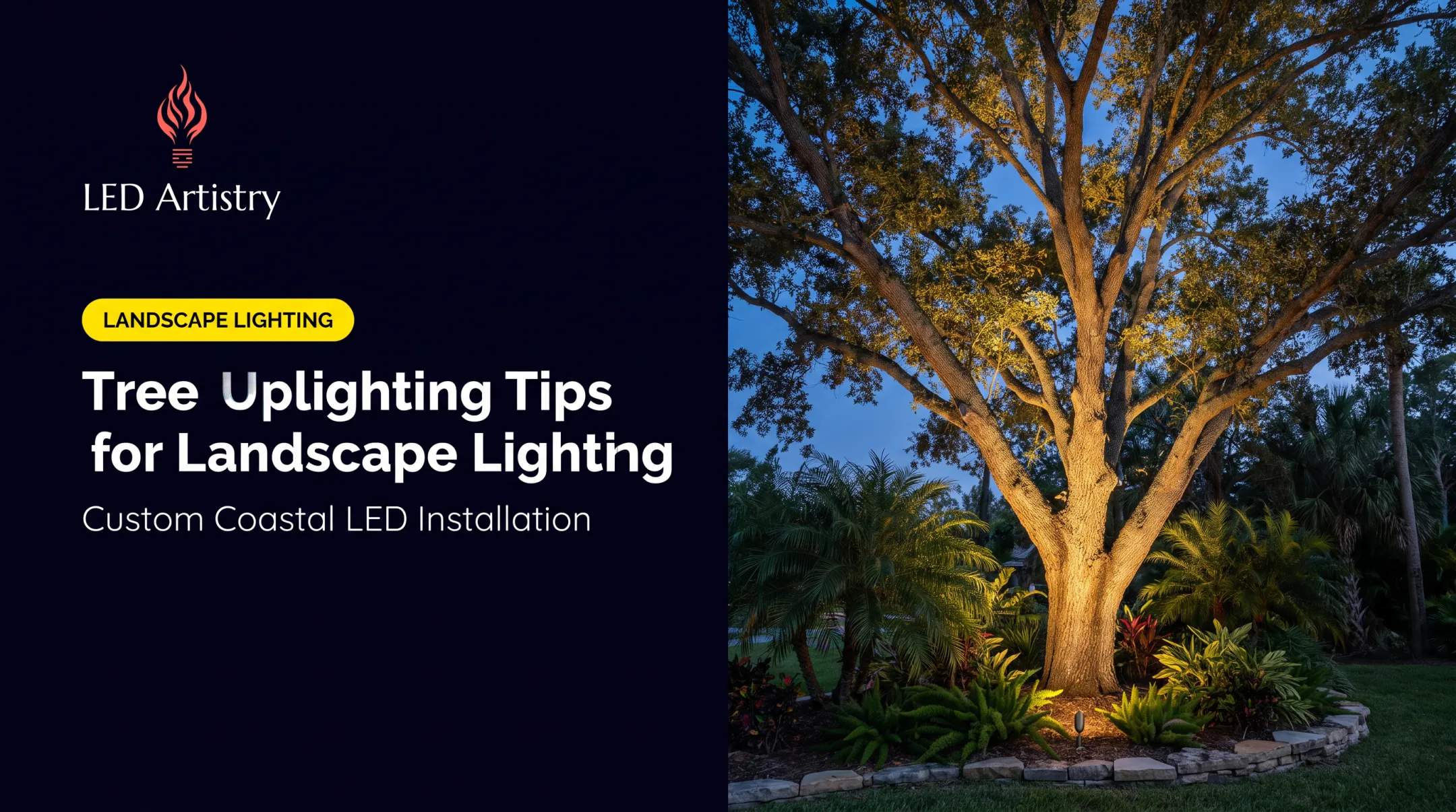 Tree Uplighting Tips for Landscape Lighting