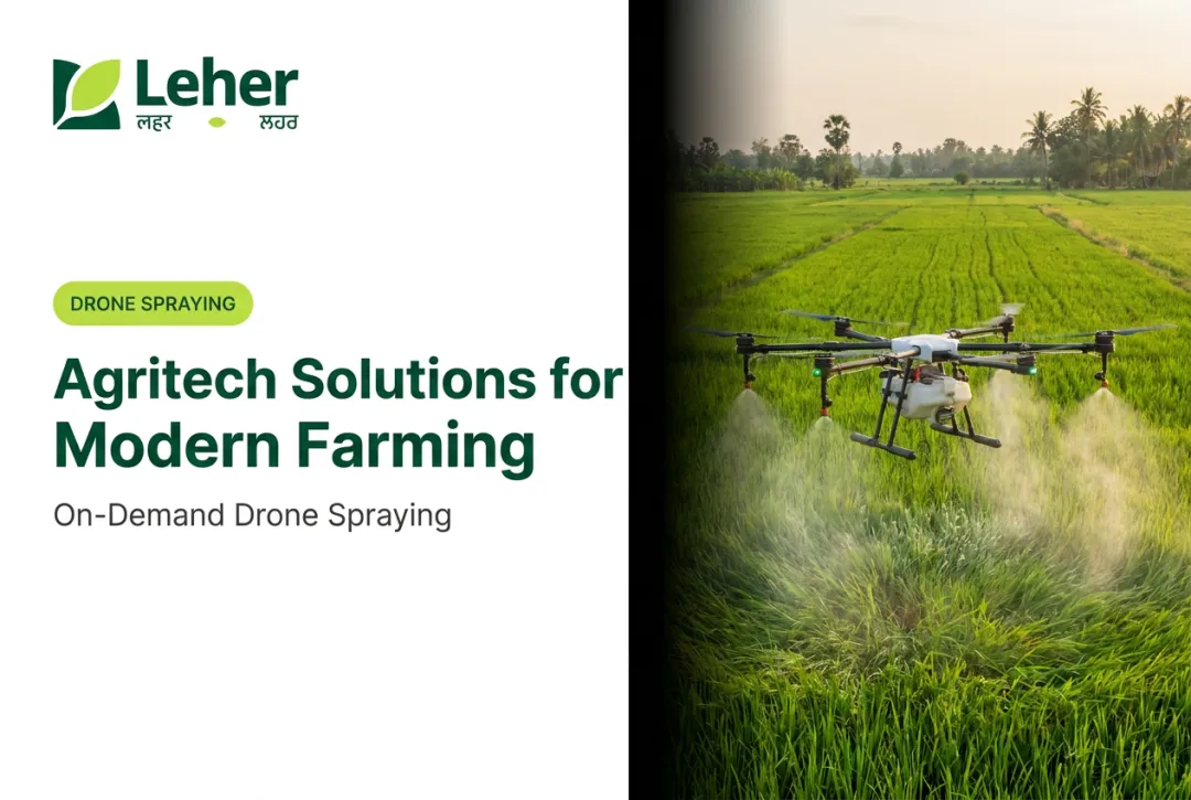 Agritech Solutions for Modern Farming