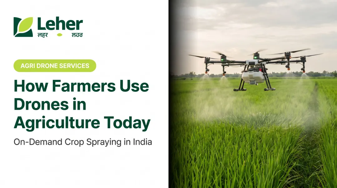 How Farmers Use Drones in Agriculture Today