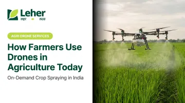 How Farmers Use Drones in Agriculture Today