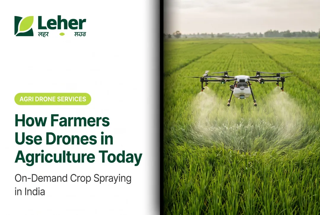 How Farmers Use Drones in Agriculture Today