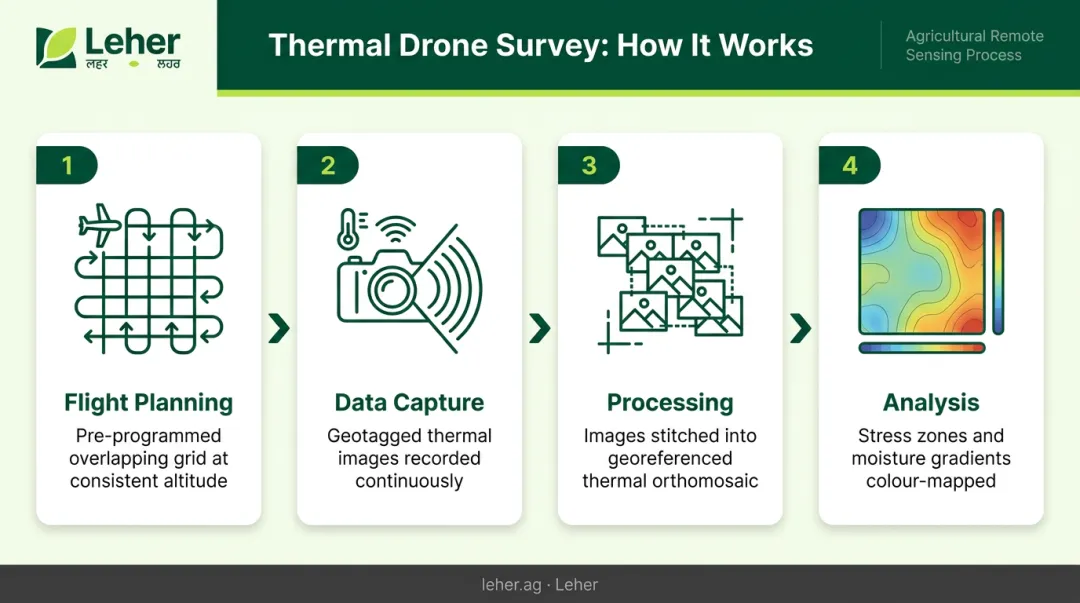 Four-step thermal drone survey workflow from flight planning to stress zone analysis