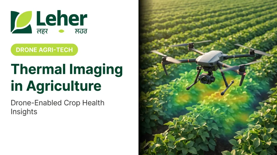 Thermal Imaging in Agriculture