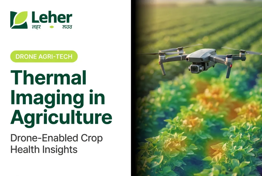 Thermal Imaging in Agriculture