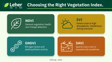 Vegetation index comparison chart NDVI EVI GNDVI SAVI best use cases