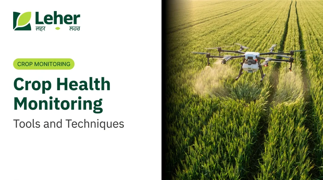 Crop Health Monitoring: Tools and Techniques