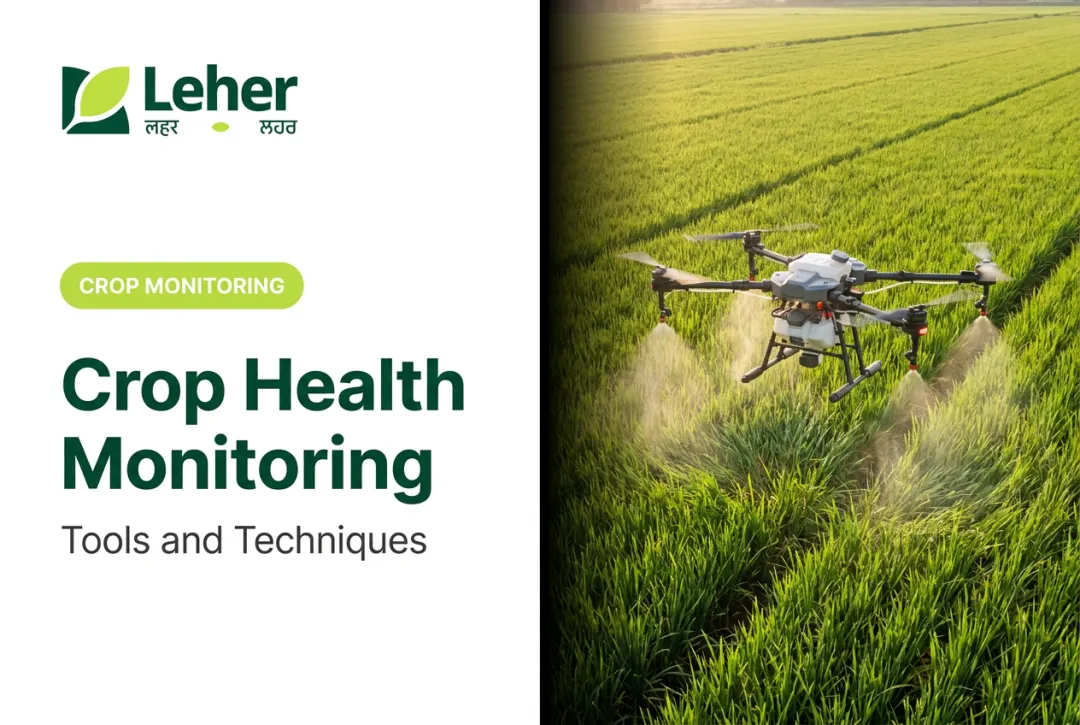Crop Health Monitoring: Tools and Techniques