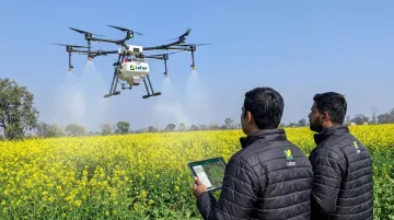 Leher drone spraying service over Indian crop field guided by GIS mapping