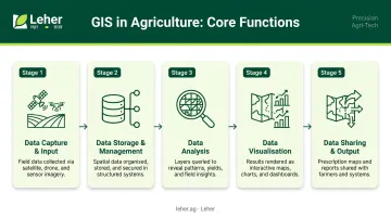 5 core GIS functions flow from data capture to output and sharing