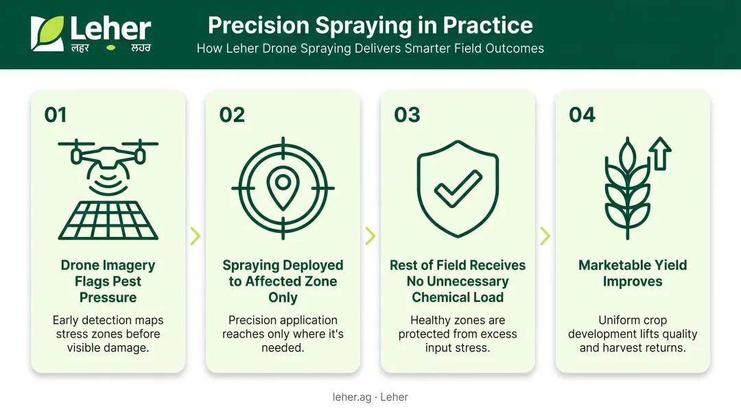 Four-step precision drone spraying process from pest detection to targeted application