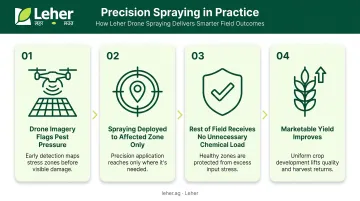 Four-step precision drone spraying process from pest detection to targeted application