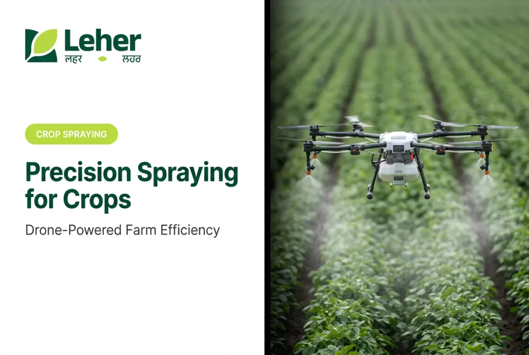 Precision Spraying for Crops