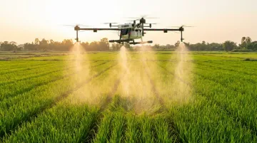 Agricultural drone spraying over paddy or sugarcane crop rows in Indian field
