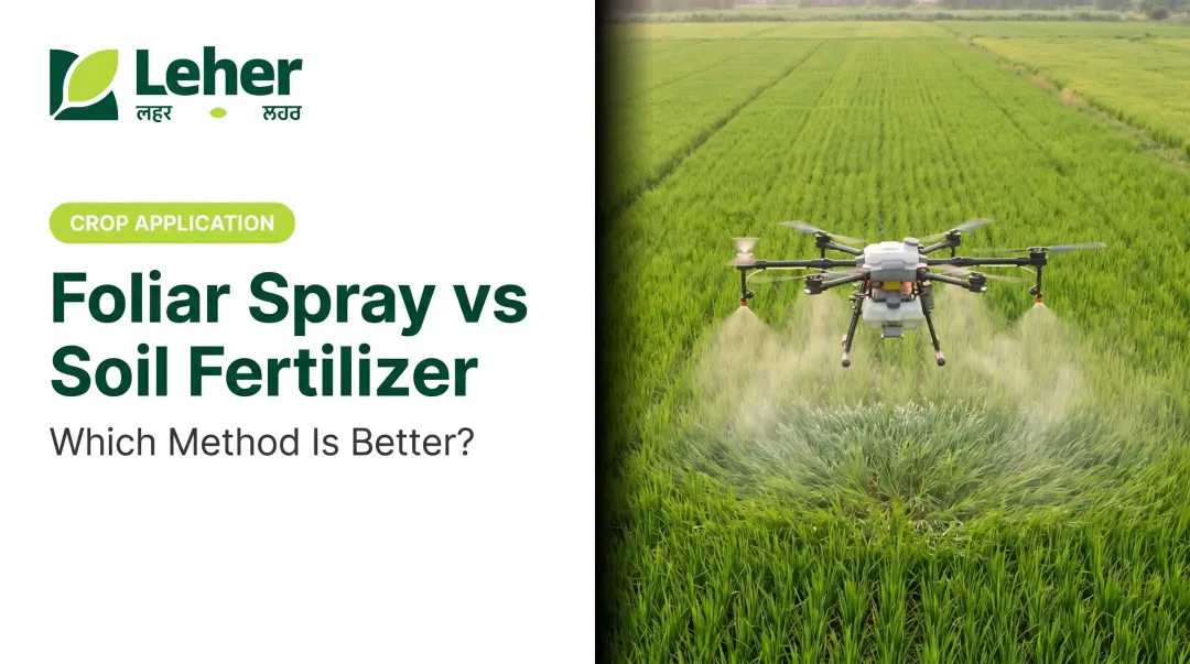 Foliar Spray vs Soil Fertilizer: Which Method Is Better?