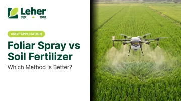 Foliar Spray vs Soil Fertilizer: Which Method Is Better?