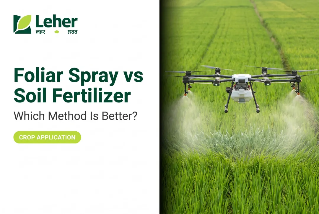 Foliar Spray vs Soil Fertilizer: Which Method Is Better?