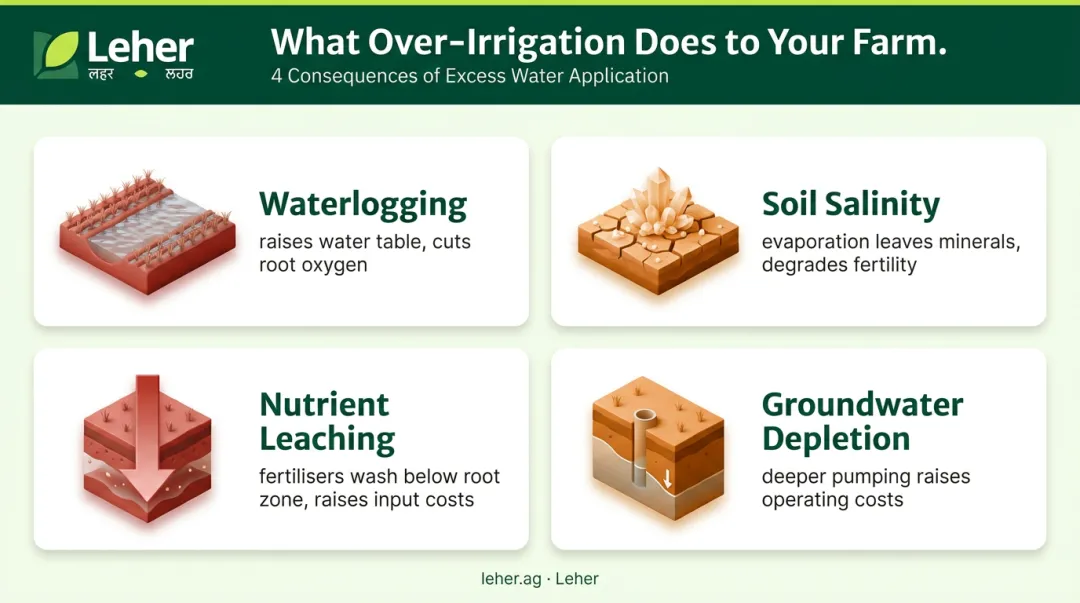 Four consequences of over-irrigation waterlogging salinity leaching groundwater depletion infographic