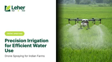 Precision Irrigation for Efficient Water Use