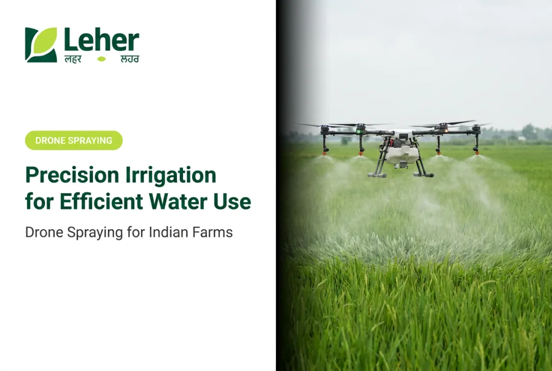 Precision Irrigation for Efficient Water Use