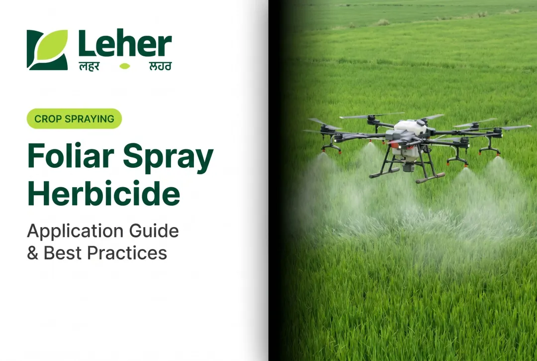 Foliar Spray Herbicide: Application Guide & Best Practices