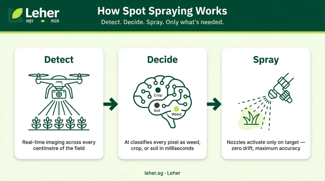 Three-step spot spraying detect-decide-spray process flow infographic