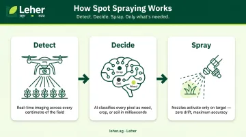 Three-step spot spraying detect-decide-spray process flow infographic