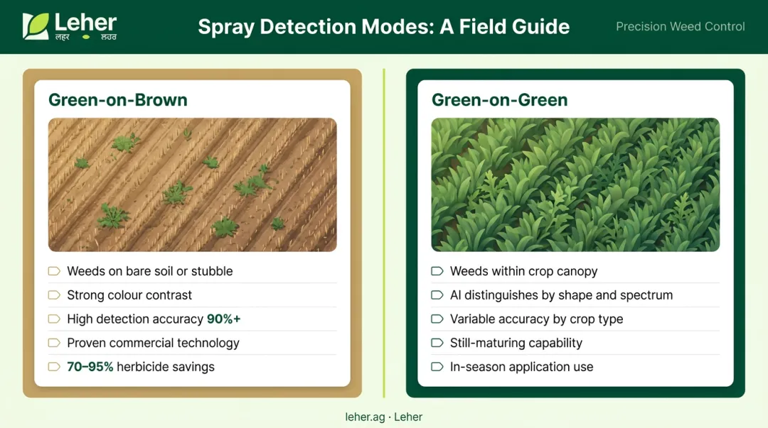 Green-on-brown versus green-on-green weed detection comparison infographic