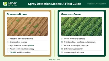 Green-on-brown versus green-on-green weed detection comparison infographic