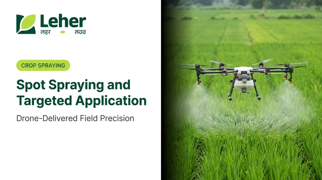 Spot Spraying and Targeted Application
