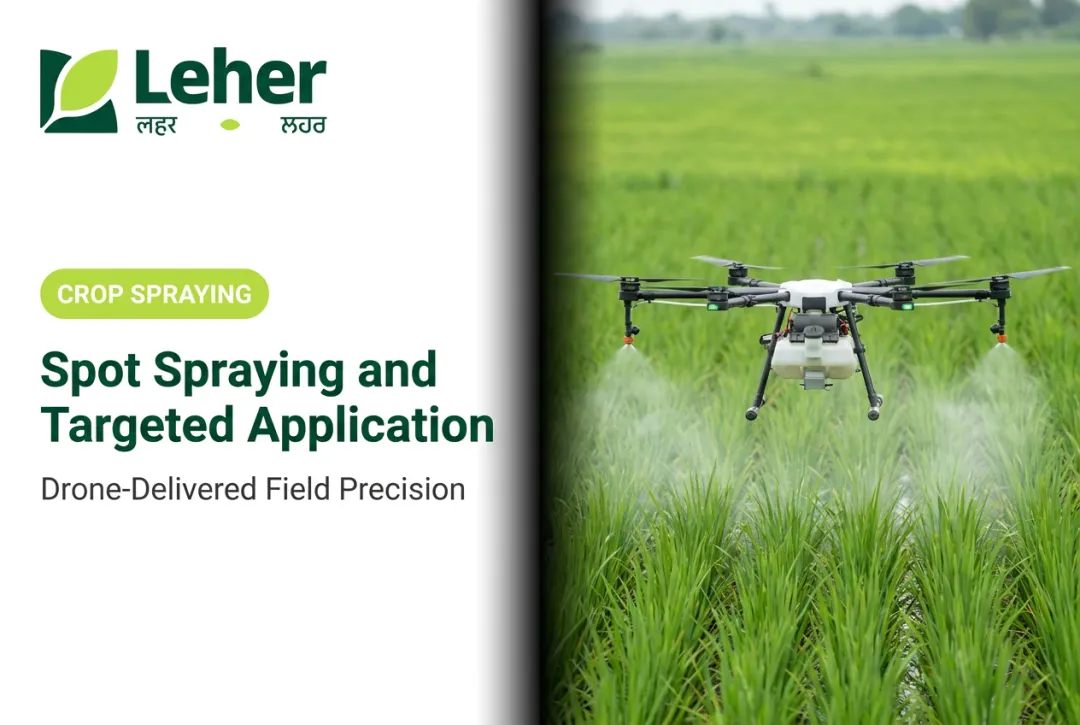 Spot Spraying and Targeted Application