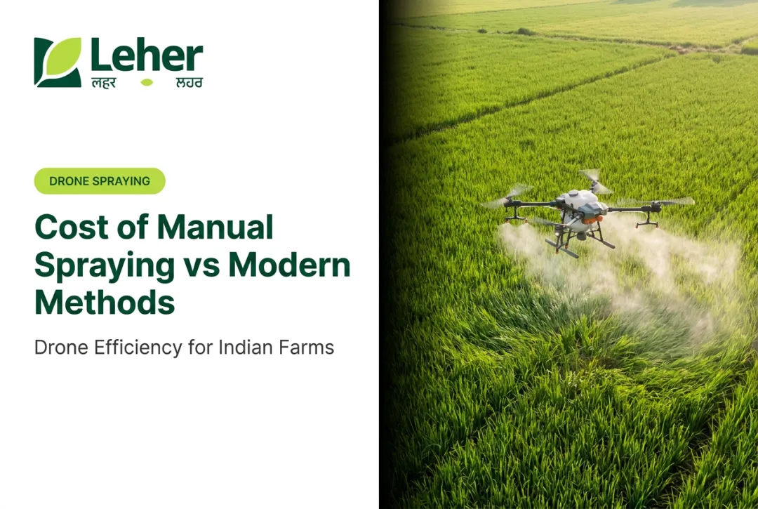 Cost of Manual Spraying vs Modern Methods