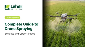 Complete Guide to Drone Spraying: Benefits and Opportunities