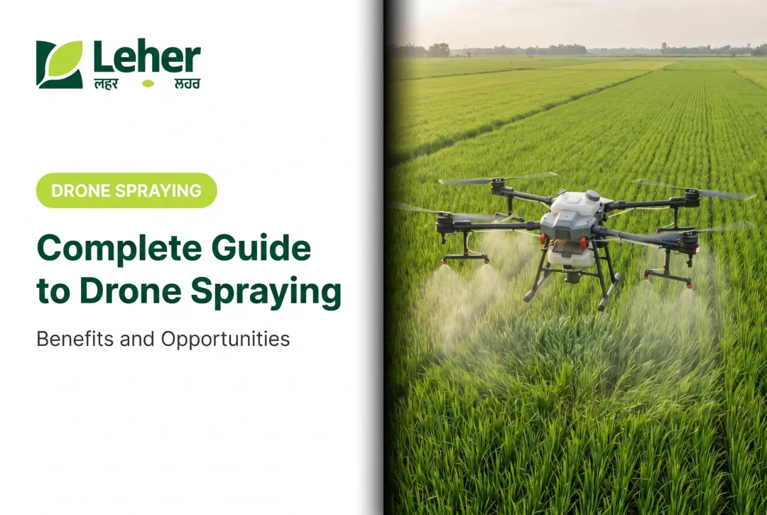 Complete Guide to Drone Spraying: Benefits and Opportunities