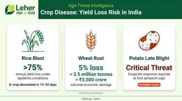 Crop disease yield loss statistics rice blast wheat rust and potato blight comparison
