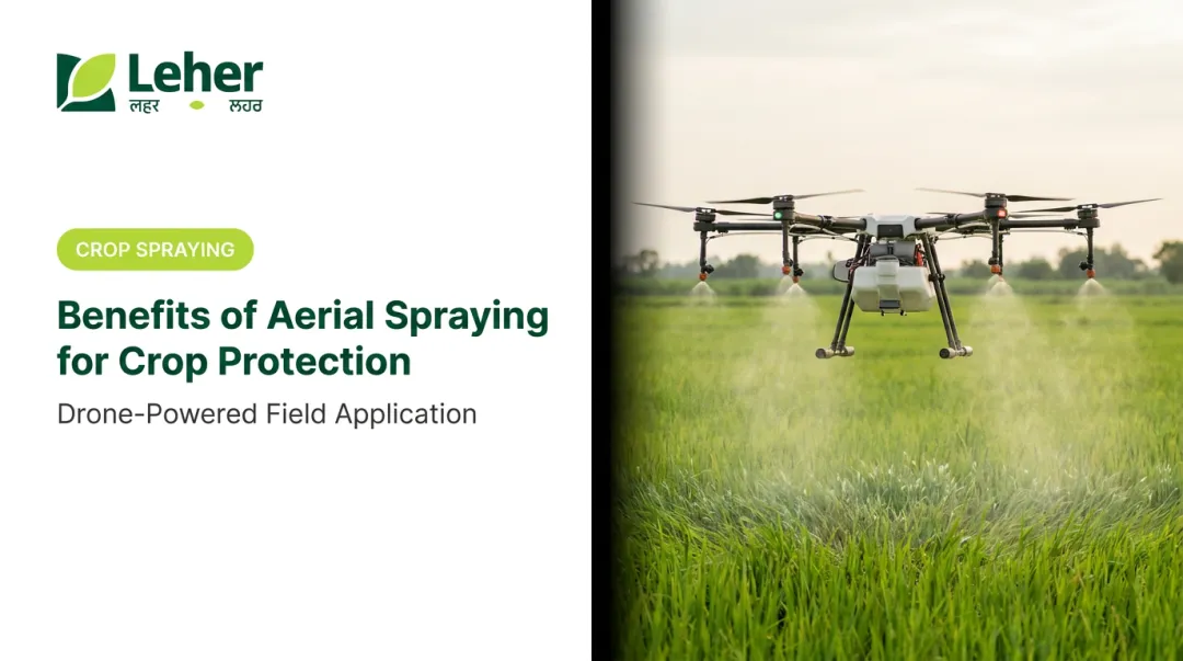 Benefits of Aerial Spraying for Crop Protection