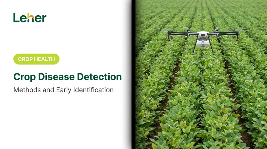 Crop Disease Detection: Methods and Early Identification
