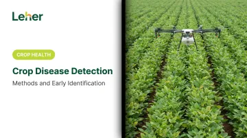 Crop Disease Detection: Methods and Early Identification