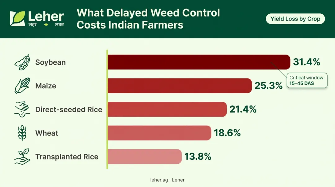 Crop yield loss from weeds comparison chart across five major Indian crops
