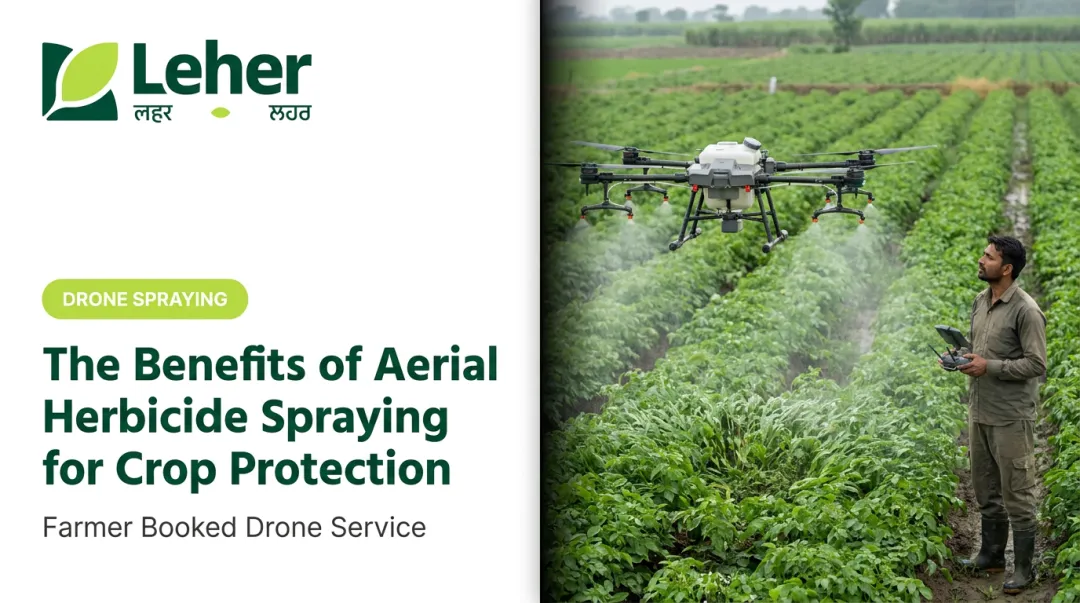 The Benefits of Aerial Herbicide Spraying for Crop Protection