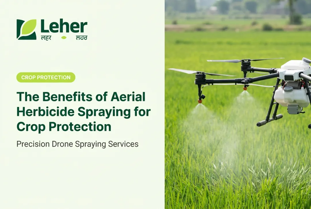 The Benefits of Aerial Herbicide Spraying for Crop Protection