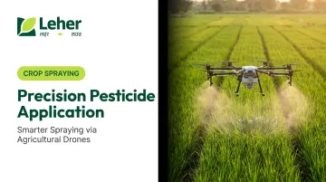 Precision Pesticide Application